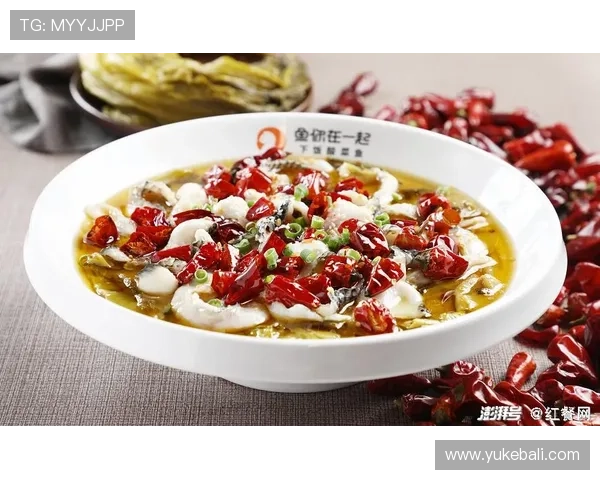 博鱼体育平台下载后如何注册及账号登录指南推荐