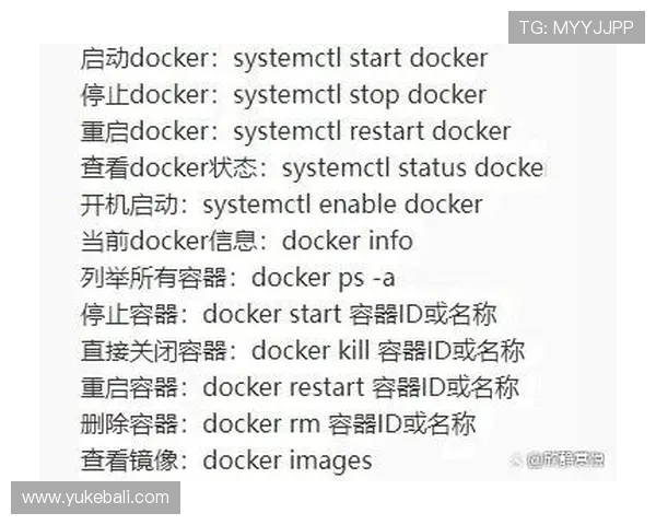 星空体育在线官网下载指南，详细步骤帮你轻松安装体验高清体育直播